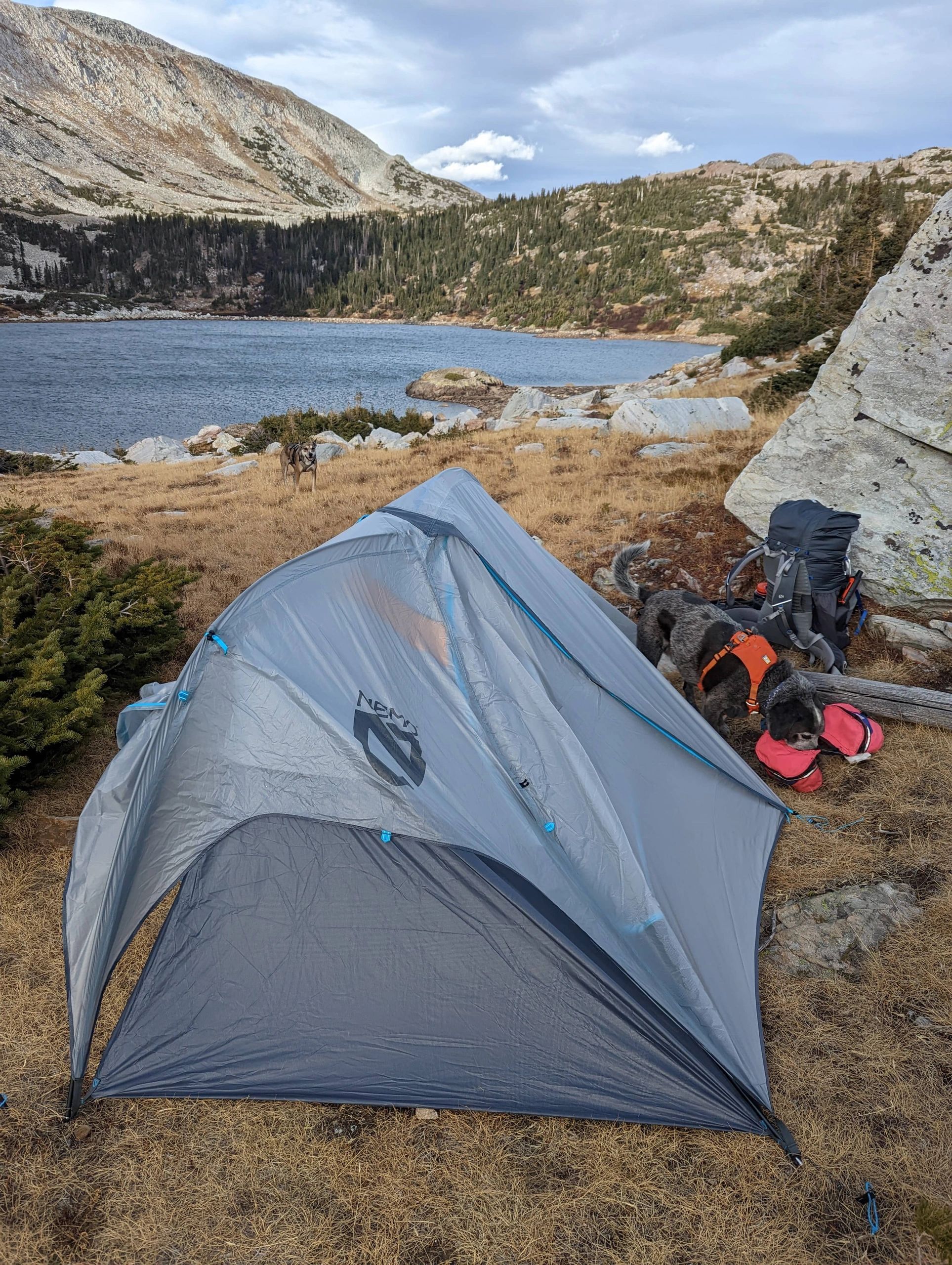 NEMO TenHornet™ Elite OSMO™ 2P Nemo Hornet Elite OSMO 2-Person Tent | MEC